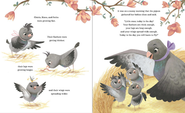 A Pigeon in Paris: Petite Takes Flight (Hardcover)