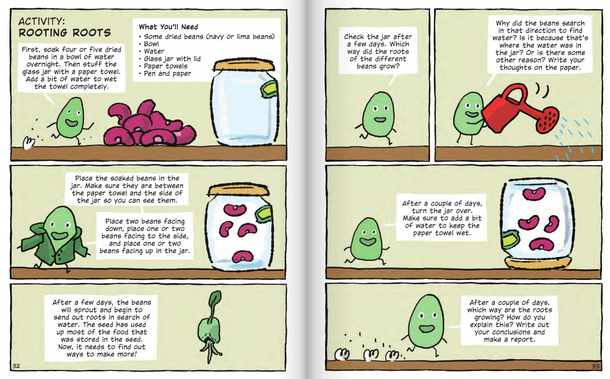 Building Blocks of Animals & Plants: Plant Life Cycles (Paperback)