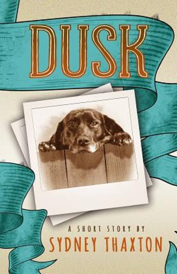 Dusk (Paperback)