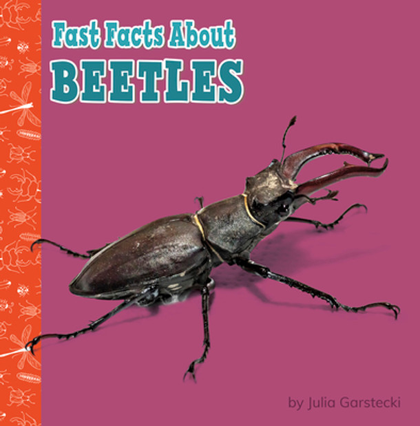 Fast Facts about Beetles (Paperback)