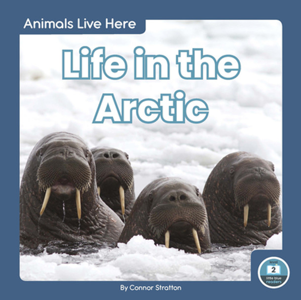 Life in the Arctic (Library Binding)