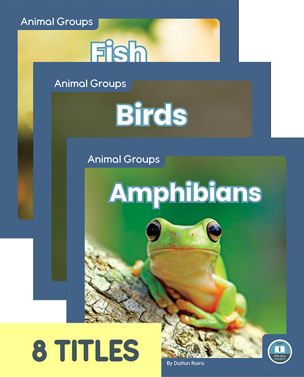 Animal Groups - 8 Titles  (Paperback)