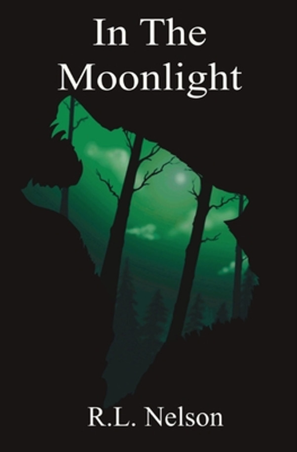 In The Moonlight (Paperback)