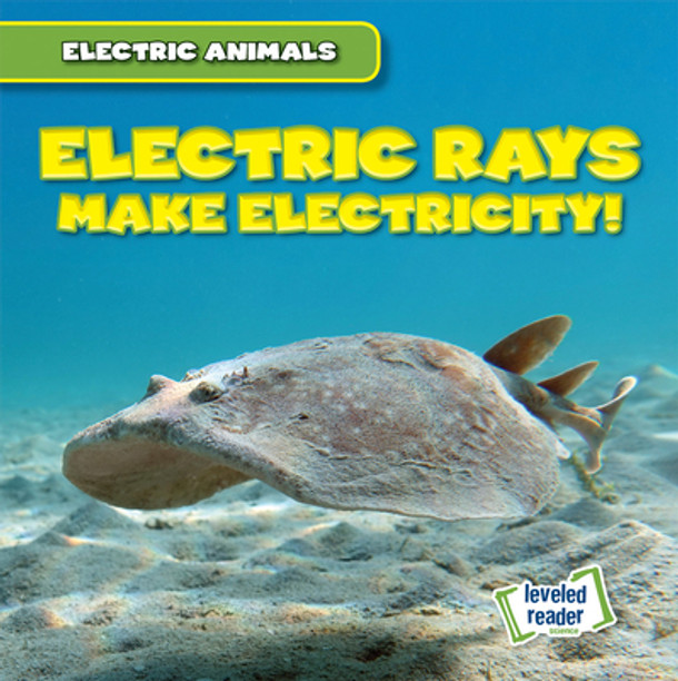 Electric Rays Make Electricity! (Paperback)