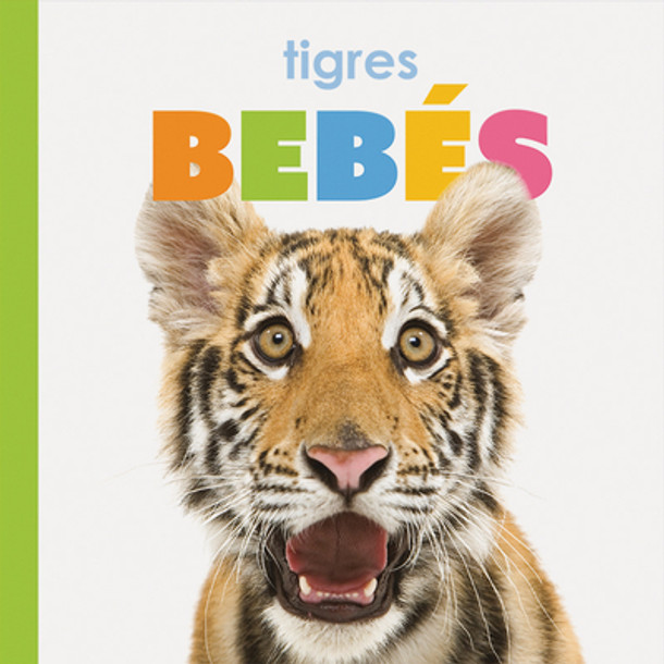 Tigres Bebés (Library Binding)