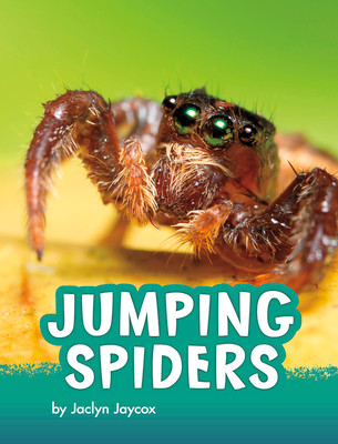 Jumping Spiders (Paperback)