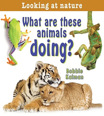 What Are These Animals Doing? (Hardcover)