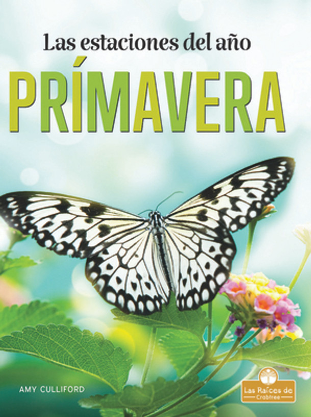 Primavera (Spring) (Paperback)