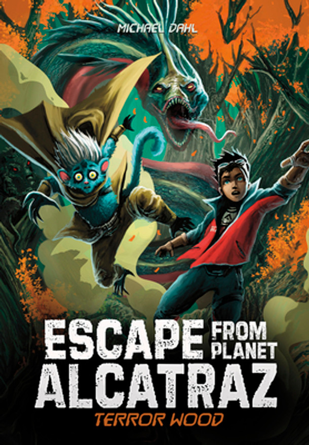 Terror Wood (Paperback)