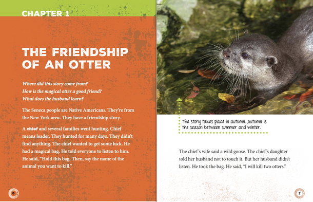 Friendship Stories (Paperback)