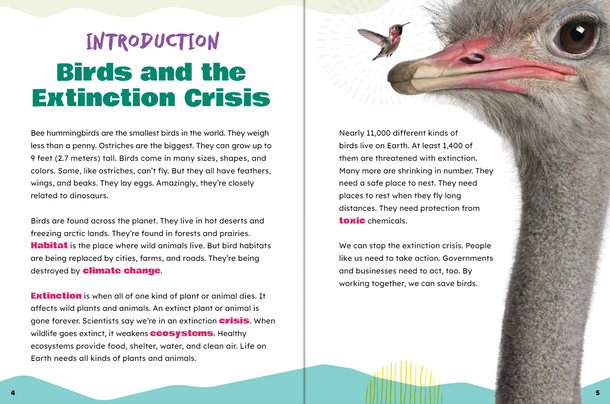 Take Action: Save Birds (Paperback)