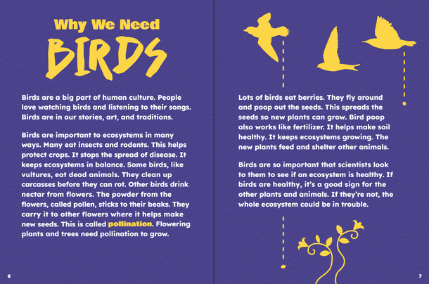 Take Action: Save Birds (Paperback)