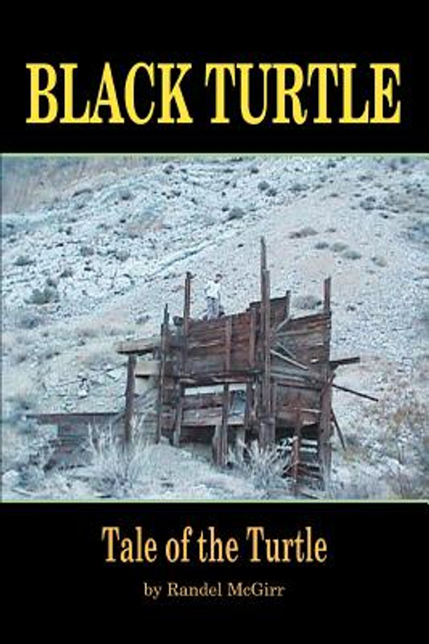Black Turtle: Tale of the Turtle (Paperback)