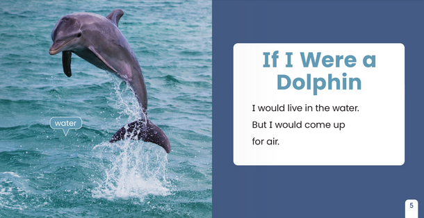 If I Were an Animal: If I Were A Dolphin (Paperback)