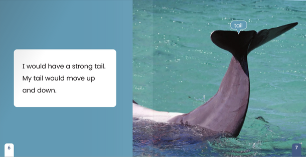 If I Were an Animal: If I Were A Dolphin (Paperback)