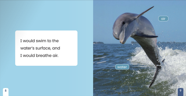 If I Were an Animal: If I Were A Dolphin (Paperback)