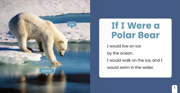 If I Were an Animal: If I Were A Polar Bear (Paperback)