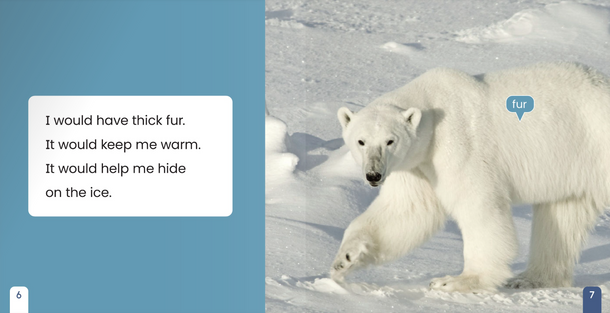 If I Were an Animal: If I Were A Polar Bear (Paperback)