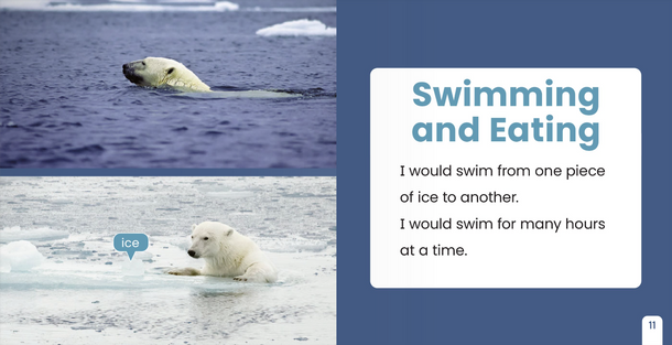If I Were an Animal: If I Were A Polar Bear (Paperback)