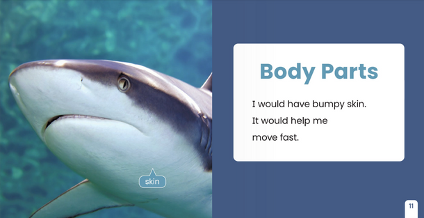 If I Were an Animal: If I Were A Shark (Paperback)