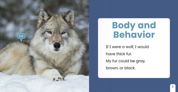 If I Were an Animal: If I Were A Wolf (Paperback)