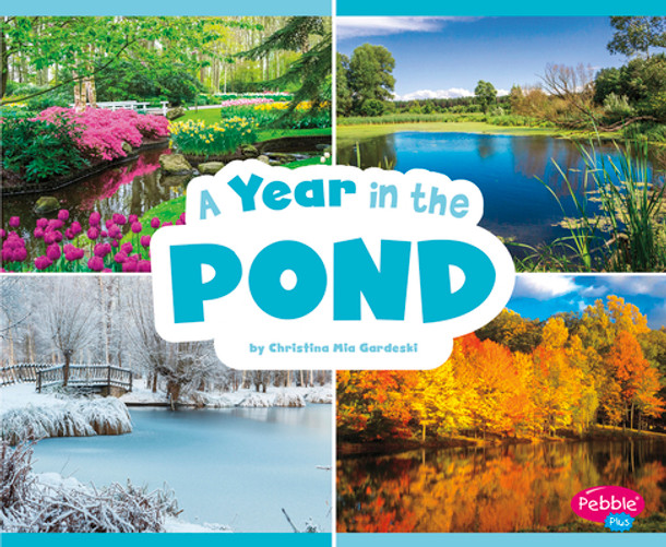 A Year in the Pond (Paperback)
