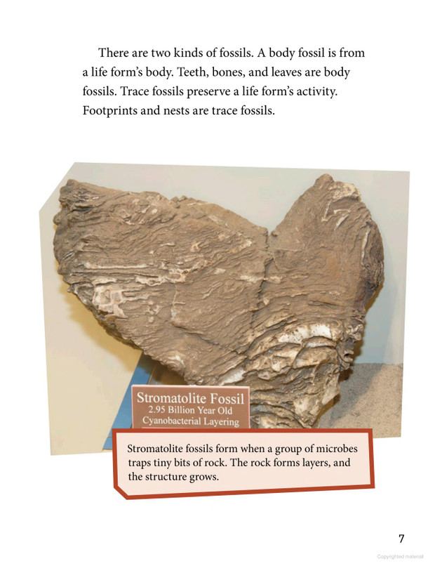 Rock Your World: Dig and Discover Fossils (Hardcover)