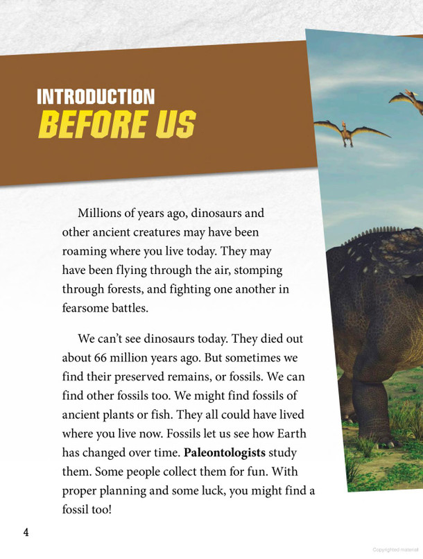 Rock Your World: Dig and Discover Fossils (Hardcover)