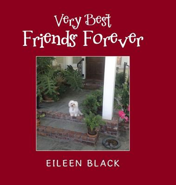 Very Best Friends Forever (Hardcover)