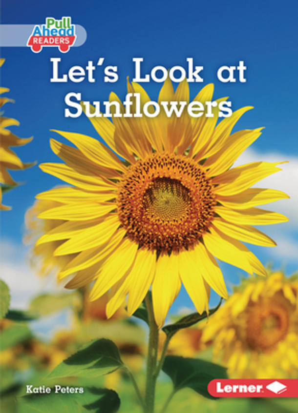 Let's Look at Sunflowers (Paperback)