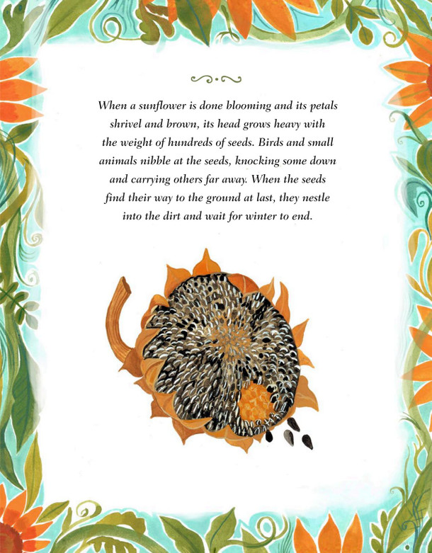 The Sunflowers Babushka Planted (Hardcover) The Sunflowers Babushka Planted (Hardcover)