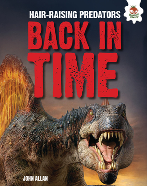 Back in Time (Library Binding)