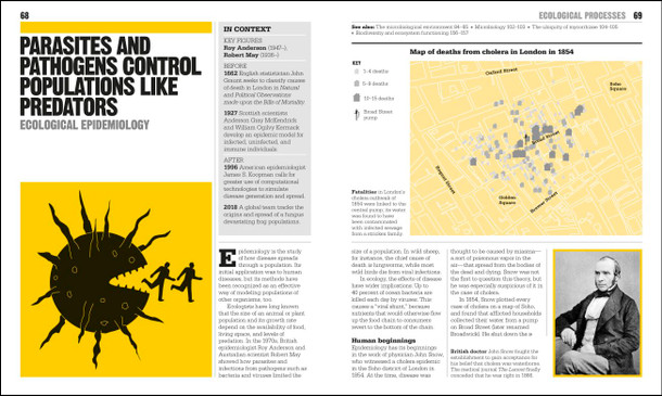 The Ecology Book: Big Ideas Simply Explained (Hardcover)