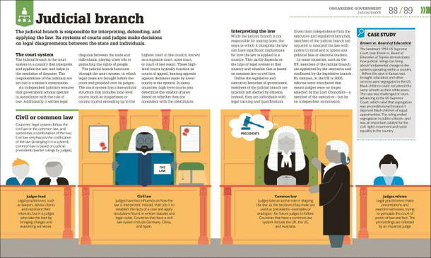 How Politics Works: The Concepts Visually Explained (Hardcover)