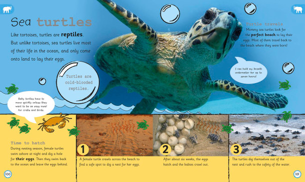 My Encyclopedia Of Very Important Animals (Hardcover)