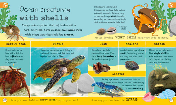 My Encyclopedia of Very Important Oceans (Hardcover) My Encyclopedia of Very Important Oceans (Hardcover)