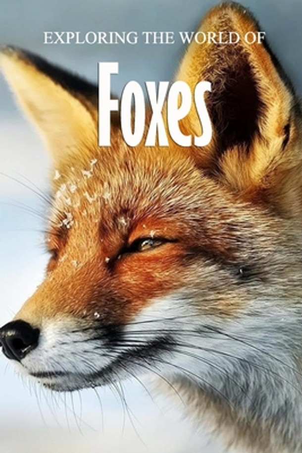 Exploring the World of Foxes: Educational Animals Book For Kids (Paperback)
