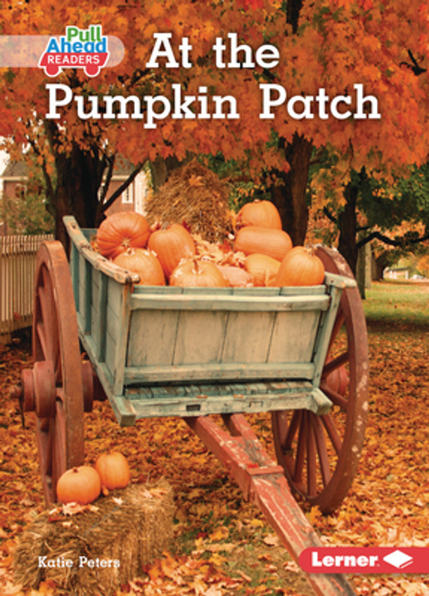 At the Pumpkin Patch (Paperback)