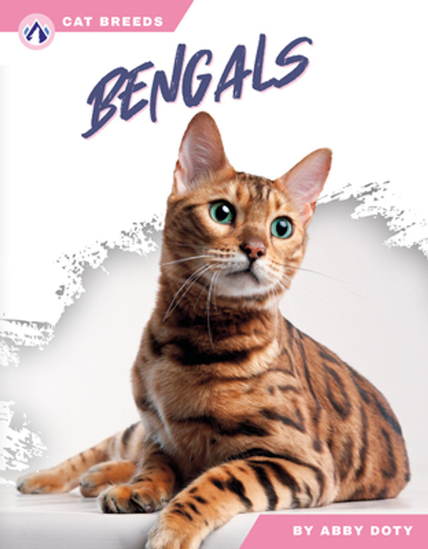 Bengals (Library Binding)
