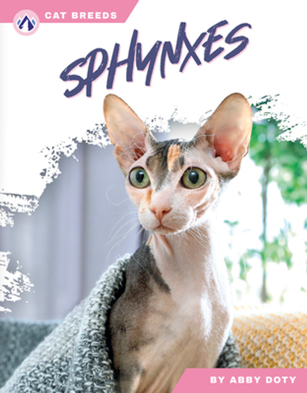 Sphynxes (Paperback)
