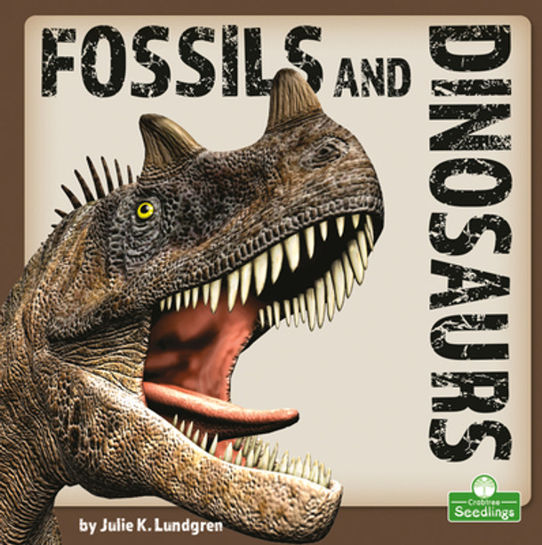 Fossils and Dinosaurs (Library Binding)
