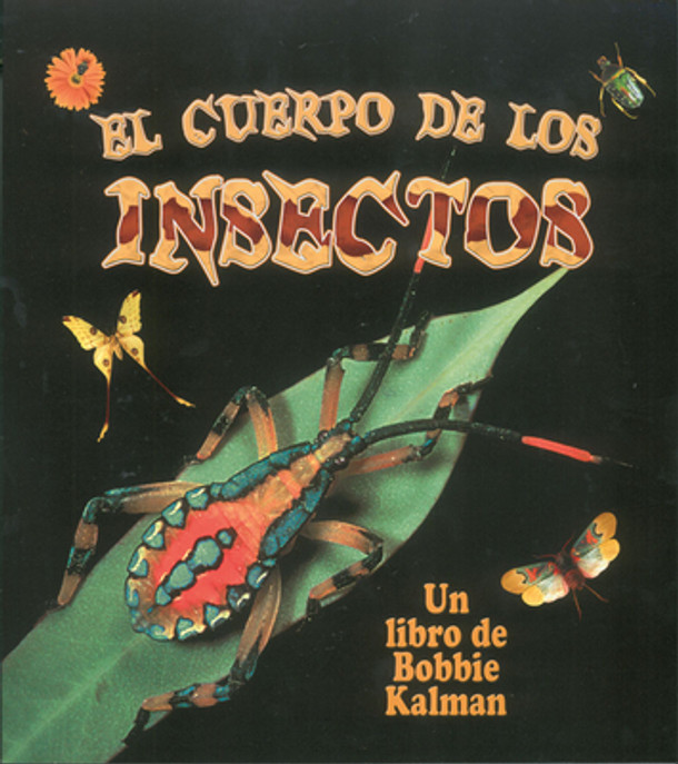 El Cuerpo de Los Insectos (Insect Bodies) (Hardcover)