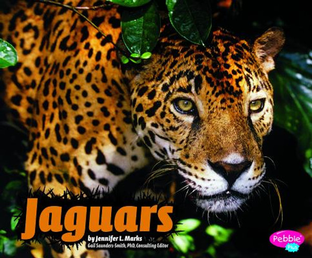 Jaguars (Hardcover)