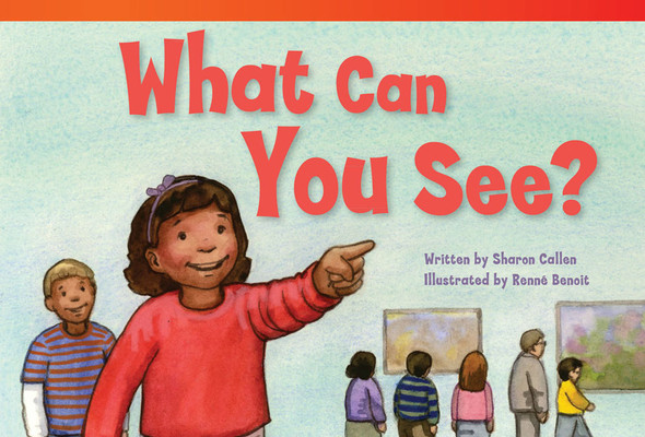 What Can You See? (Paperback)