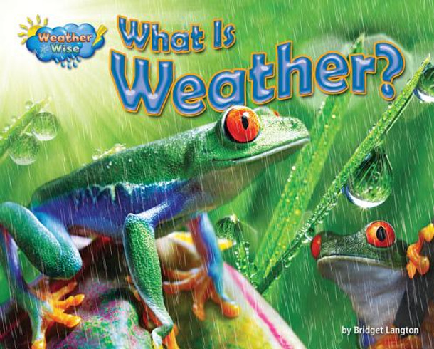 What Is Weather? (Library Binding)