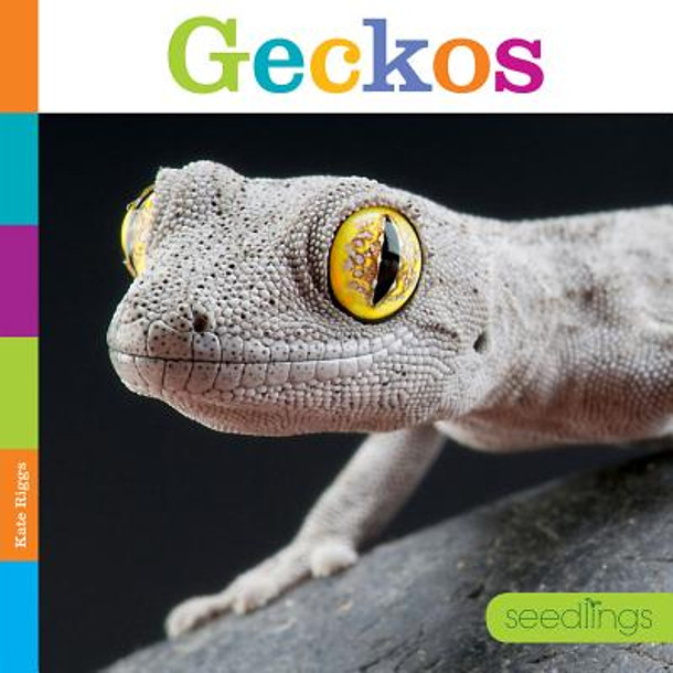 Seedlings: Geckos (Paperback)