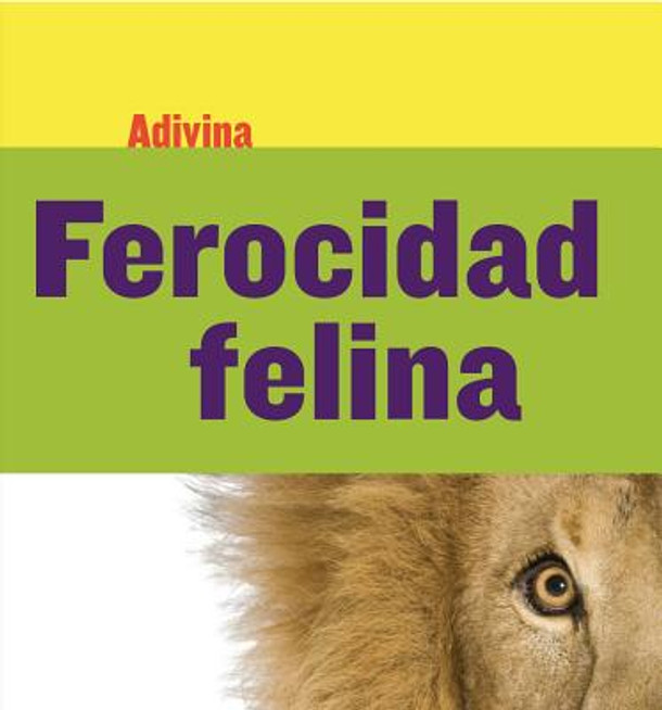Ferocidad Felina (Fiercely Feline): León (Lion) (Paperback)