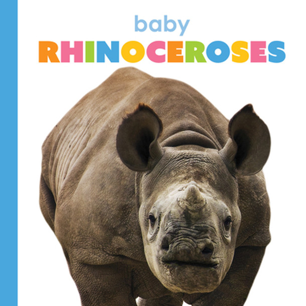 Baby Rhinoceroses (Library Binding)