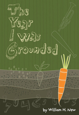 The Year I Was Grounded (Paperback)
