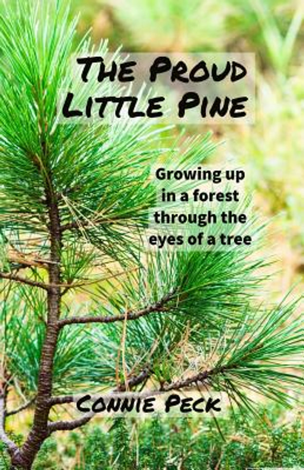 The Proud Little Pine (Paperback)